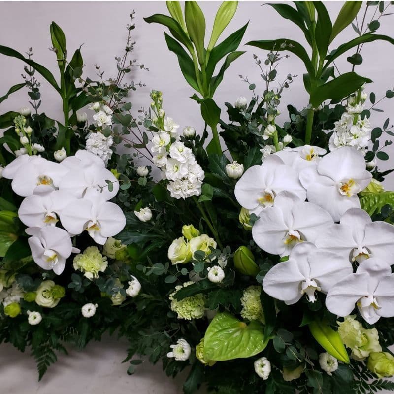 白グリーンの胡蝶蘭お供えアレンジメント