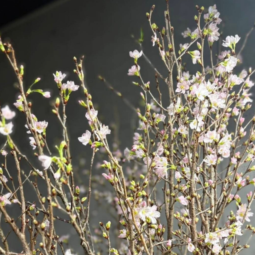 赤バラとグリーンの大人可愛い花束ブーケ