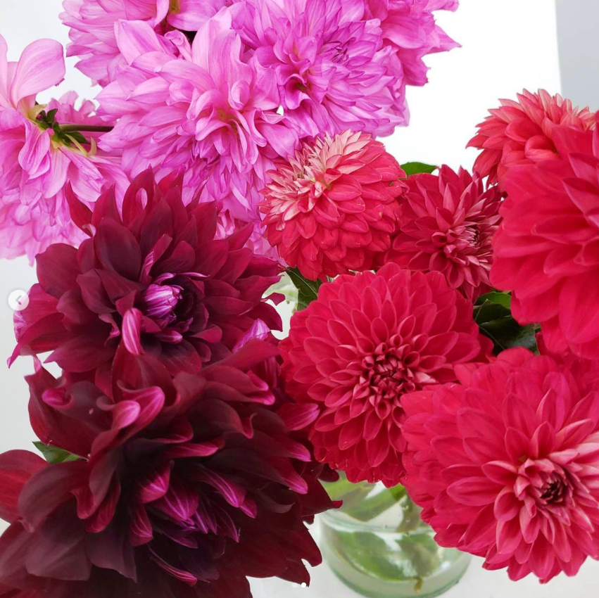 img20260430122524733023.png